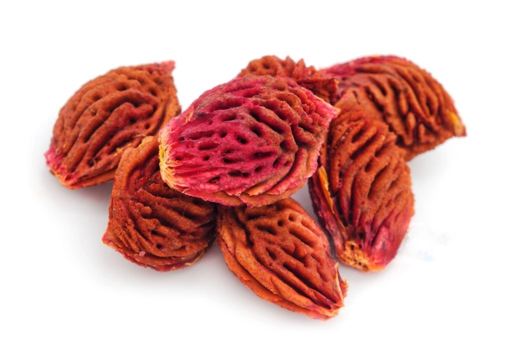 Seed of peach.